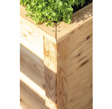 Detailansicht eines Hochbeets aus Holz mit Pflanze