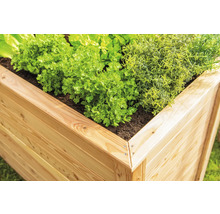 Hochbeet aus Holz mit Kräutern und Gemüse bepflanzt