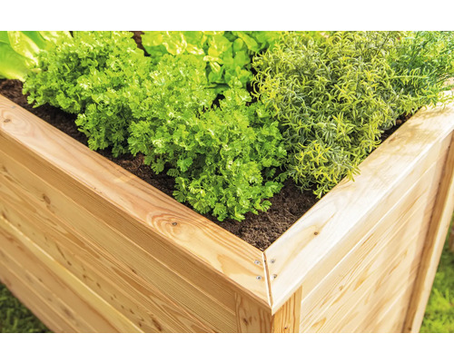 Hochbeet aus Holz mit Kräutern und Gemüse bepflanzt