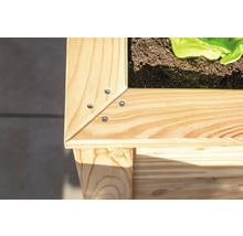 Detailansicht eines Hochbeets aus Holz mit Schrauben