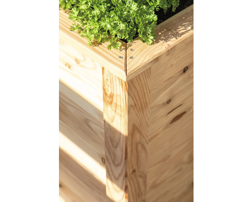 Detailansicht eines Hochbeets aus Holz mit Bepflanzung.
