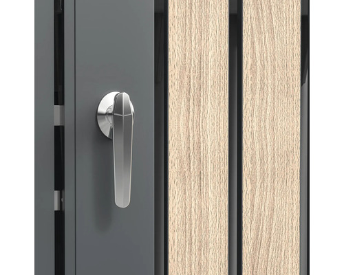 Detailansicht einer Tür mit Griff und Holzpaneelen