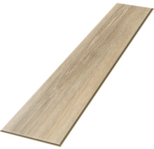 Einzelne Laminatdiele