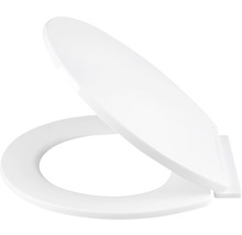 Toilettendeckel aus Kunststoff