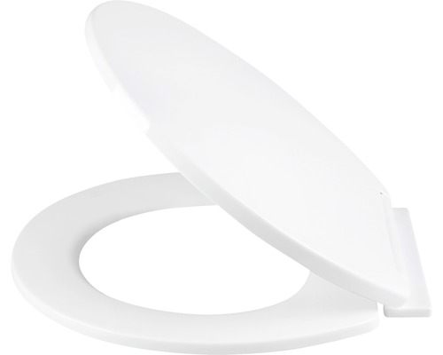Toilettendeckel aus Kunststoff