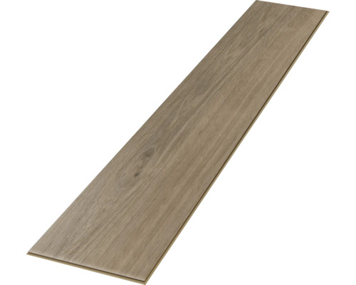 Einzelne Laminatdiele mit Holzstruktur