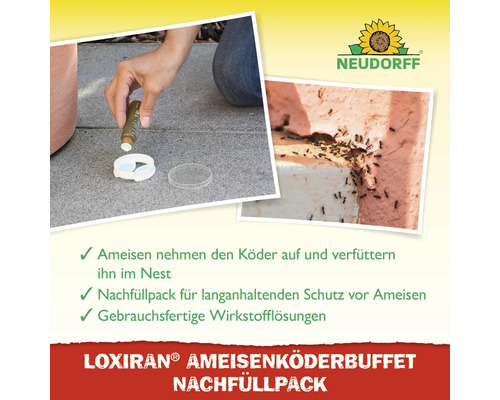 Ameisenköder Neudorff Loxiran 40 ml