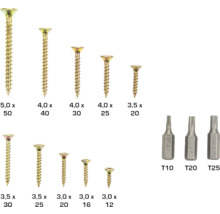 Verschiedene Größen von Holzschrauben und Torx-Bits
