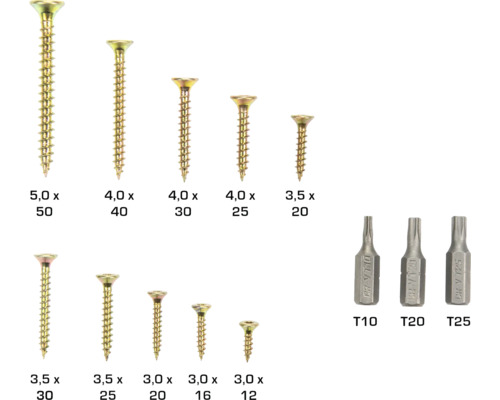 Verschiedene Größen von Holzschrauben und Torx-Bits
