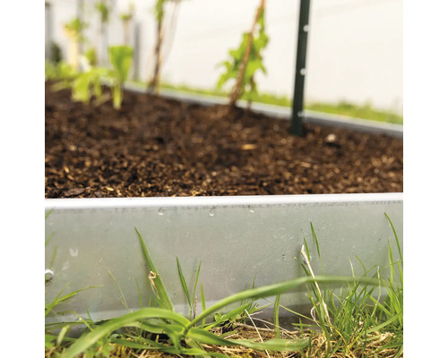 Nahaufnahme eines Hochbeets mit Pflanzen und Erde