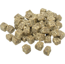 Stapel von Hunde-Snacks in Würfelform