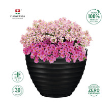 Blumentopf mit rosa und lila Blüten