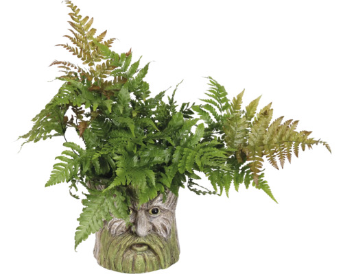 Künstlicher Farn in einem Gesicht-Übertopf