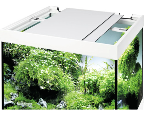 Aquarium mit Abdeckung und Wasserpflanzen