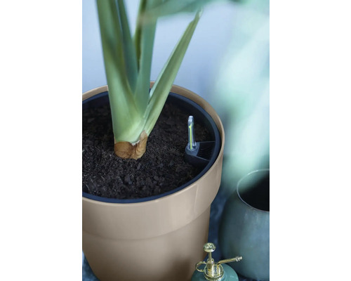 Blumentopf mit Bewässerungssystem und Pflanze