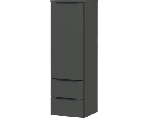 Hochschrank mit einer Tür und zwei Schubladen