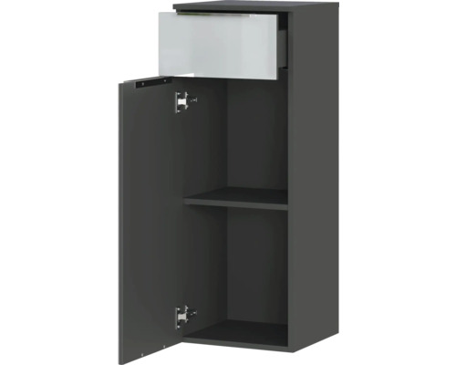 Hängeschrank mit Schublade, Tür und Regalböden