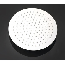 Kopfbrause Aurlane Rund 25x25 cm Einfach chrom