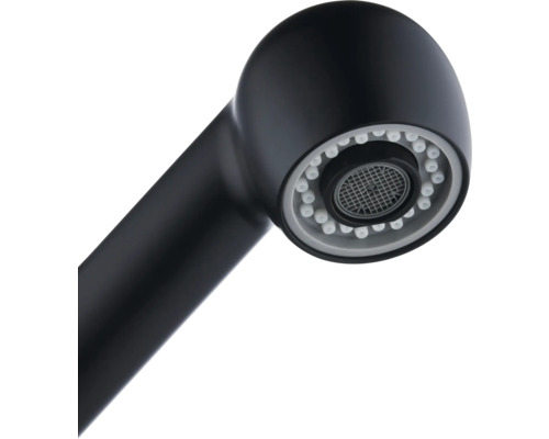 Brausekopf einer Küchenarmatur