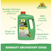 Neudorff BioKraft Grundstoff Essig zur Unkrautbekämpfung auf Wegen, Terrassen und Einfahrten