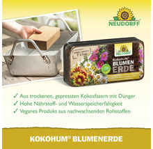 Neudorff Kokohum Blumenerde als Quelltablette und aufgequollen im Eimer