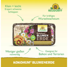 Kokohum Blumenerde von Neudorff für kräftiges Wurzelwachstum und weniger Gießen, geeignet für Balkon und Terrarien