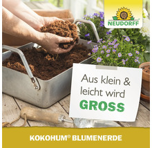 Kokohum Blumenerde in einer Pflanzschale mit dem Neudorff Logo