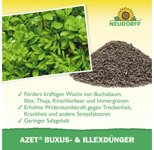 Neudorff Azet Buxus- und Illexdünger zur Förderung des Wachstums von Buchsbaum, Ilex, Thuja, Kirschlorbeer und Immergrünen