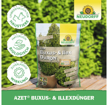 Azet Buxus- und Ilexdünger Packung für Buchsbaum und Stechpalme