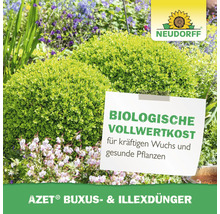 Neudorff Azet Buchsbaum- und Ilexdünger im Gartenbeet mit Bepflanzung