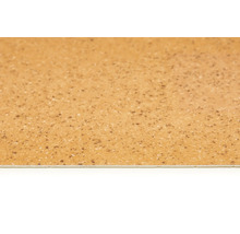 Detailaufnahme eines homogenen Vinylbodens