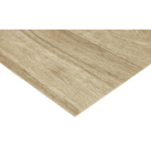 Dekorplatte mit Holzoptik