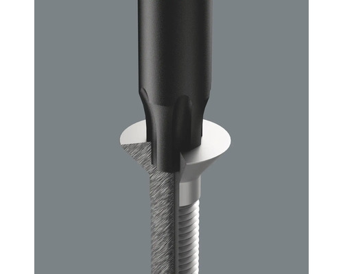 Schraubendreher greift in Schraube mit Torx-Profil