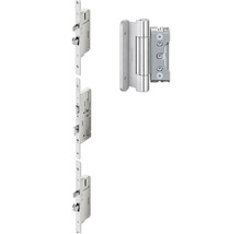 Haustür DW04 Kiefer/Eiche Aformosia 1000x2100 mm DIN Rechts (nach innen öffnend)