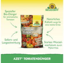 Azet Tomatendünger Packung für aromatische Tomaten und reiche Ernte