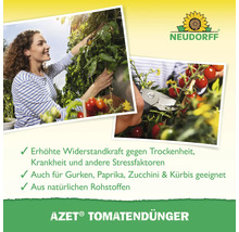 Anwendung von Neudorff Azet Tomatendünger zur Stärkung von Tomatenpflanzen