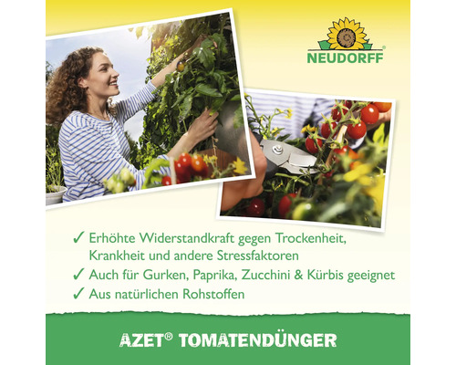 Anwendung von Neudorff Azet Tomatendünger zur Stärkung von Tomatenpflanzen