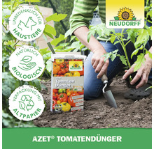 Azet Tomatendünger Packung neben Person beim Einpflanzen einer Tomatenpflanze