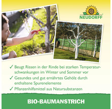 Anwendung von Bio-Baumanstrich zum Schutz von Baumrinde vor Temperaturschwankungen, mit Neudorff Logo.