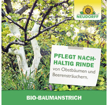 Baum mit Baumstamm geschützt mit Baumanstrich und Neudorff Logo