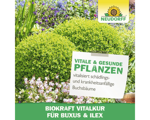 Neudorff Logo mit vitalen und gesunden Pflanzen für Buchs und Ilex