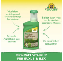 Neudorff Biokraft Vitalkur für Buxus und Ilex zur Vitalisierung von Buchsbäumen