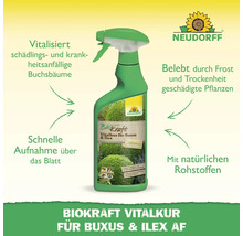 Neudorff BioKraft Vitalkur für Buchs und Ilex im Sprühbehälter