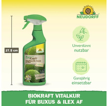 Neudorff Biokraft Vitalkur für Buchs und Ilex, 27,5 cm Flasche