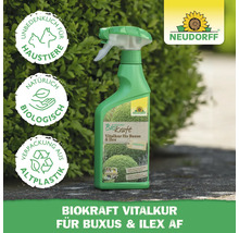Neudorff Biokraft Vitalkur für Buchs und Ilex AF in grüner Sprühflasche vor Hecke. Haustierfreundlich, biologisch und Verpackung aus Altplastik.