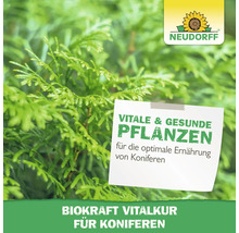 Neudorff Logo. Koniferen Vital Kur Produktbild.