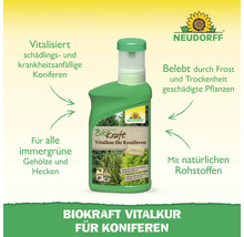Neudorff Biokraft Vitalkur für Koniferen zur Stärkung von Nadelgehölzen