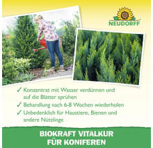 Frau gießt Koniferen mit Gießkanne, Neudorff Logo, Hinweise zur Anwendung und Aufschrift Biokraft Vitalkur für Koniferen