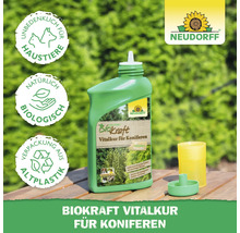 Neudorff Biokraft Vitalkur für Koniferen in grüner Flasche mit Dosierkappe und Messbecher