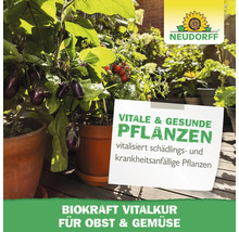 Pflanzen auf einem Balkon mit Neudorff Produktinformation